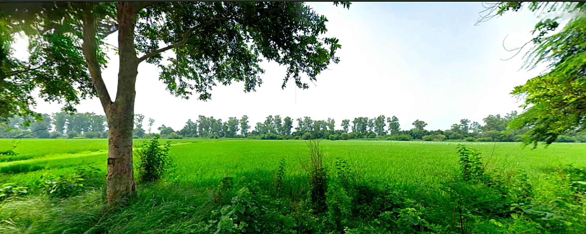 Raipur Rani, Haryana 134204, India