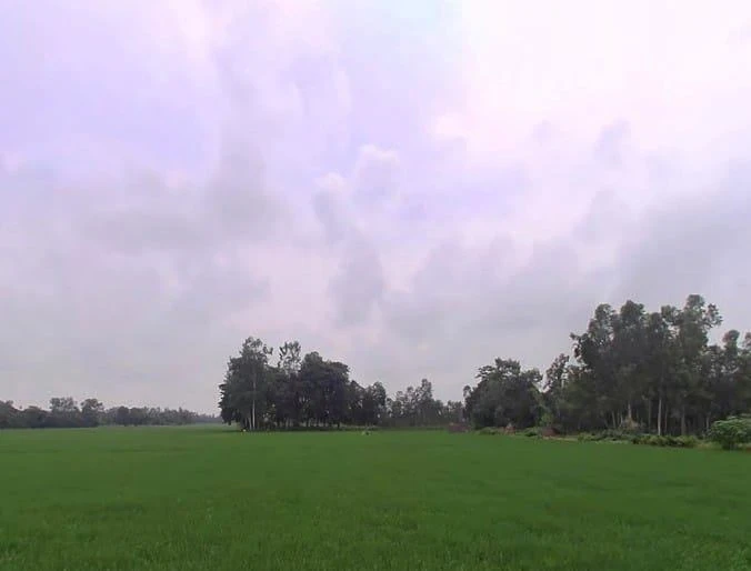 HV9J+855, Bithaura Kalan, Uttar Pradesh 262001, India