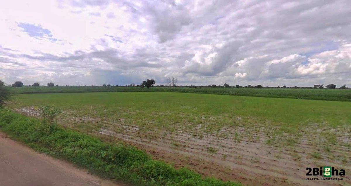 Muskara, Uttar Pradesh 210506, India