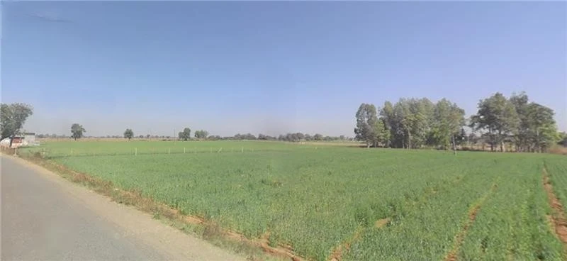 AGRICULTURAL in Ankleshwar/Andada, bharuch