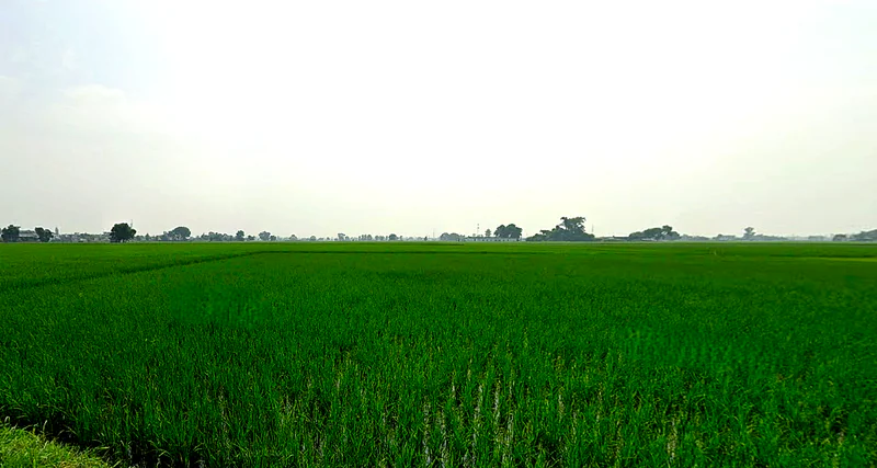 Beas, Punjab 143201, India preview 3