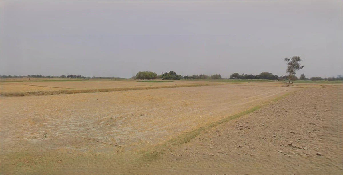 Sri Ganganagar, Rajasthan, India