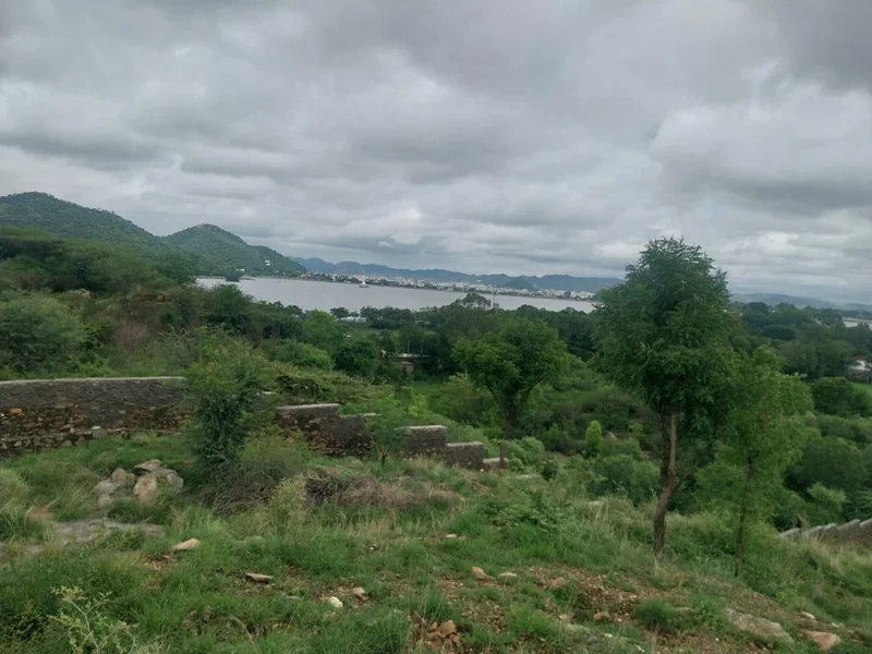 AGRICULTURAL in Fateh Sagar Lake, jodhpur