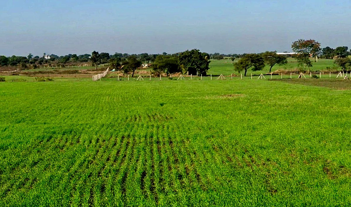 Khokhari, Madhya Pradesh 466001, India