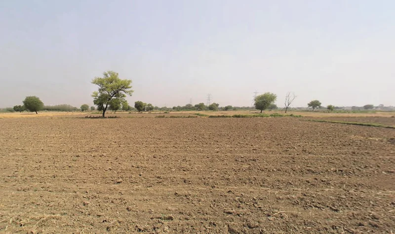 Pirthla, Haryana, India preview 2