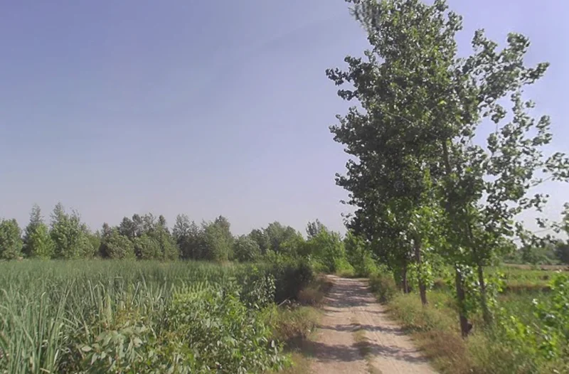 Fatehganj Pashchimi, Uttar Pradesh 243501, India preview 3