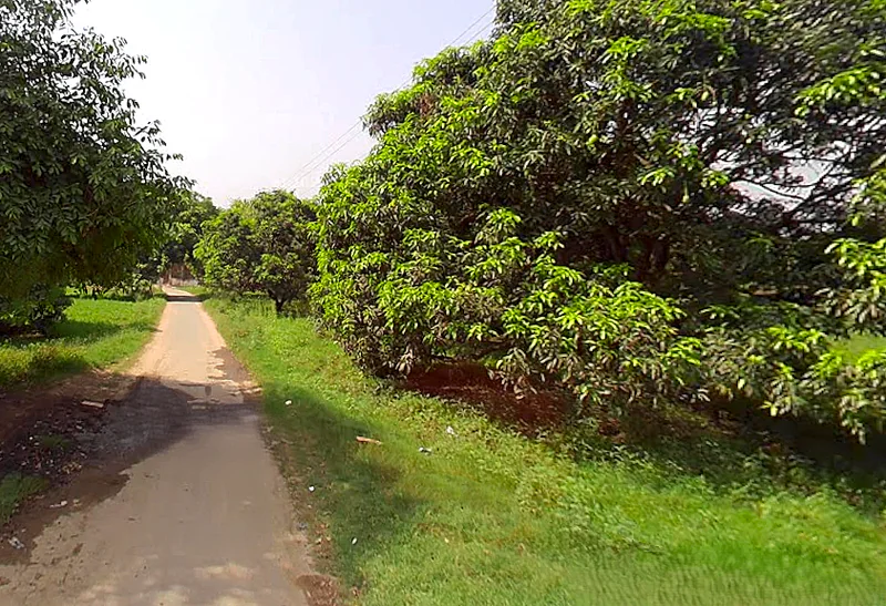 Siyana, Uttar Pradesh 203412, India preview 3