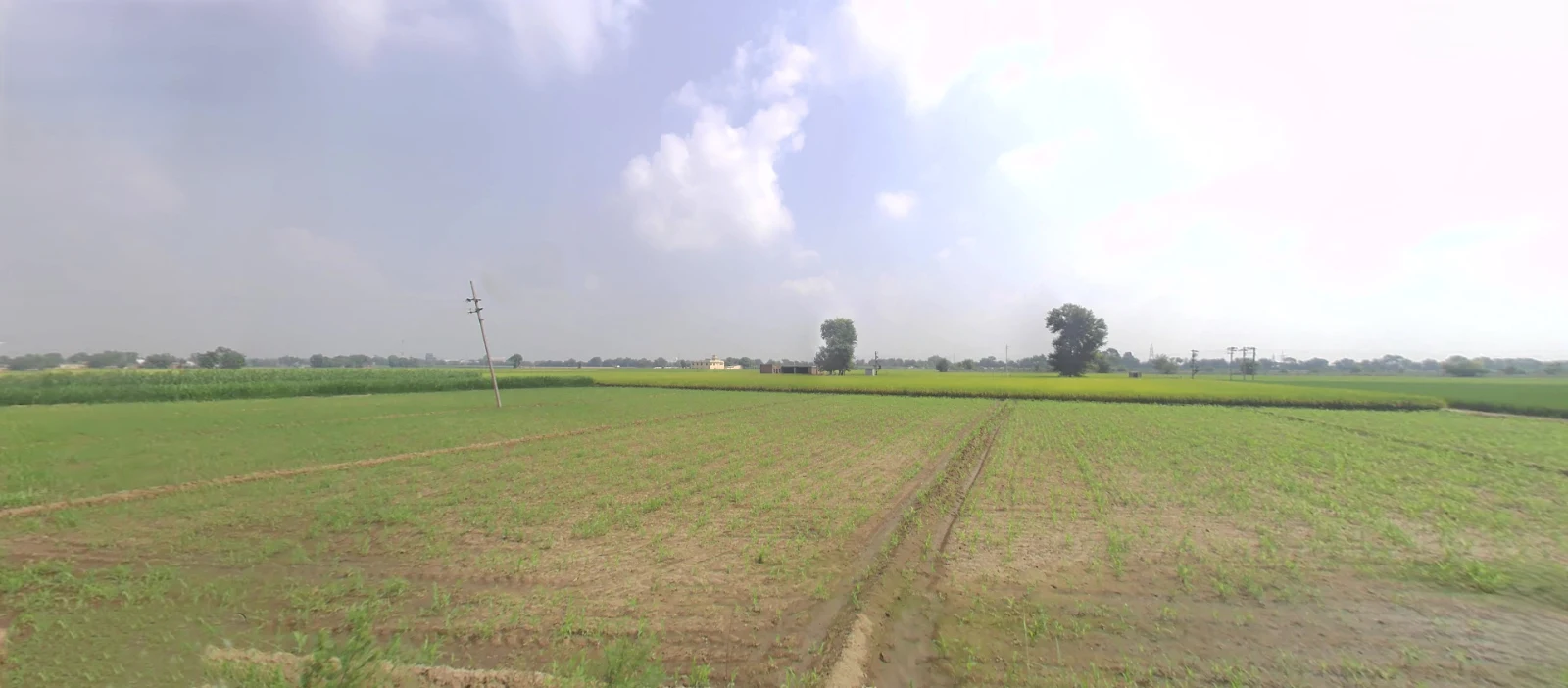 XH83+728, Mangal Nagar, Jwala Nagar, Saharanpur, Uttar Pradesh 247001, India