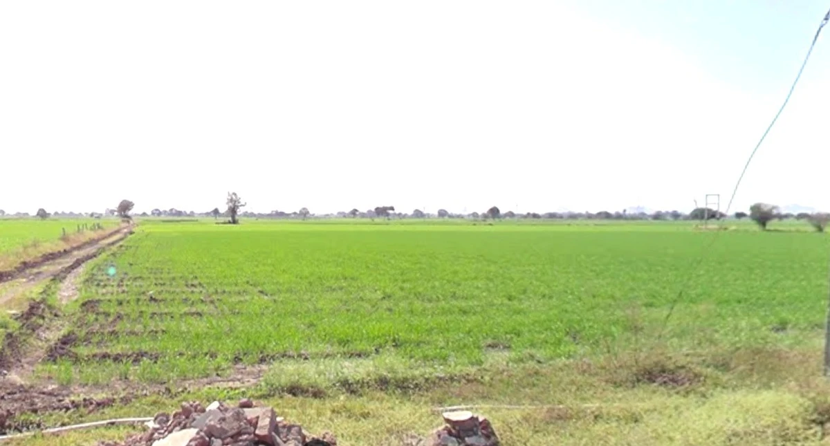 Bodwada Buzurg, Madhya Pradesh 454001, India