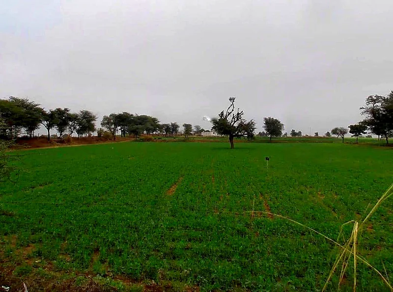 23WX+XJ8, Dabri, Rajasthan 332305, India preview 3