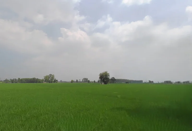 Ladhowal, Punjab 141008, India preview 2
