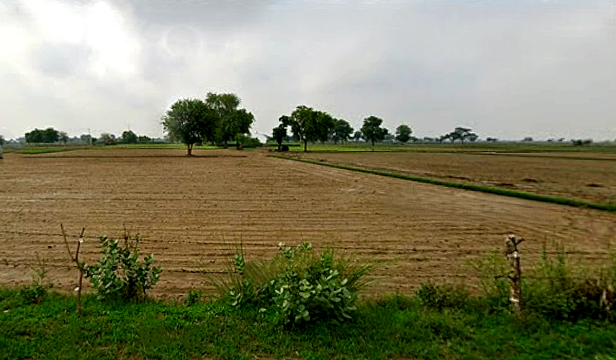 Tentigaon, Uttar Pradesh, India