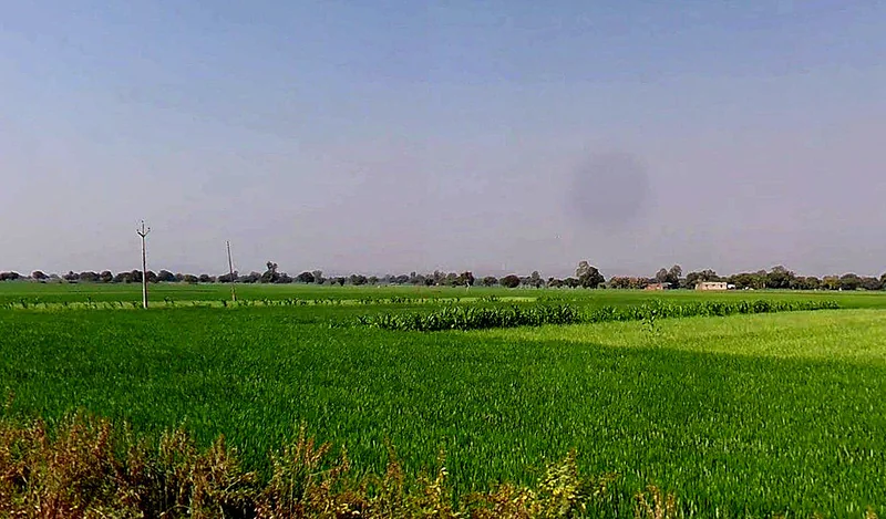 3PRM+428, Runija, Madhya Pradesh 456776, India preview 2