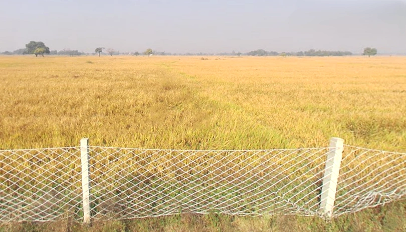 Koraon, Uttar Pradesh 212306, India