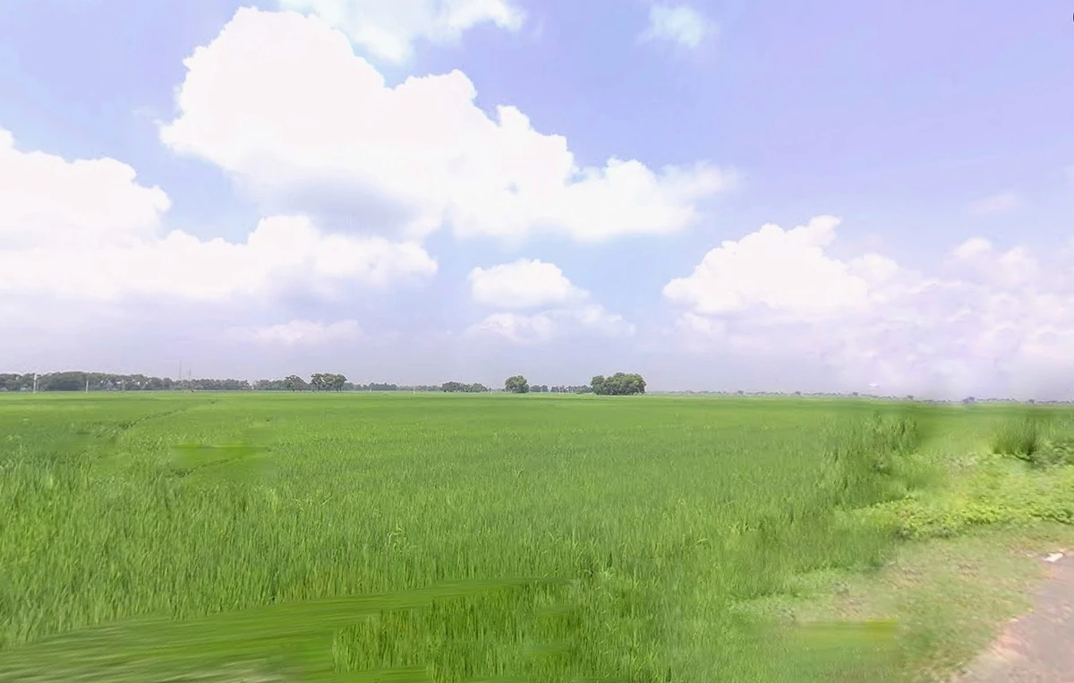 Bihta Chowk, Bihar 801103