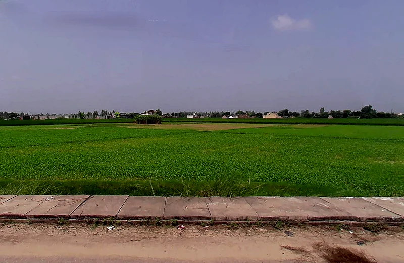 3M77+HVW, Bodhani, Loatani, Haryana 136129, India preview 3