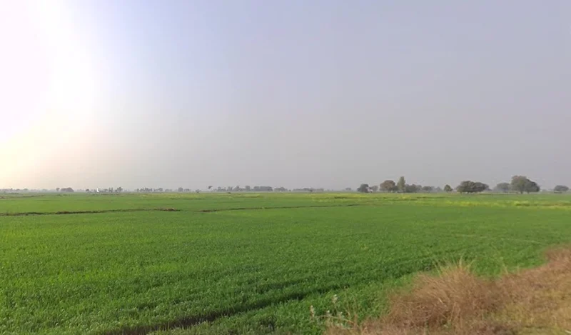 Chhimak, Madhya Pradesh 475110, India preview 2