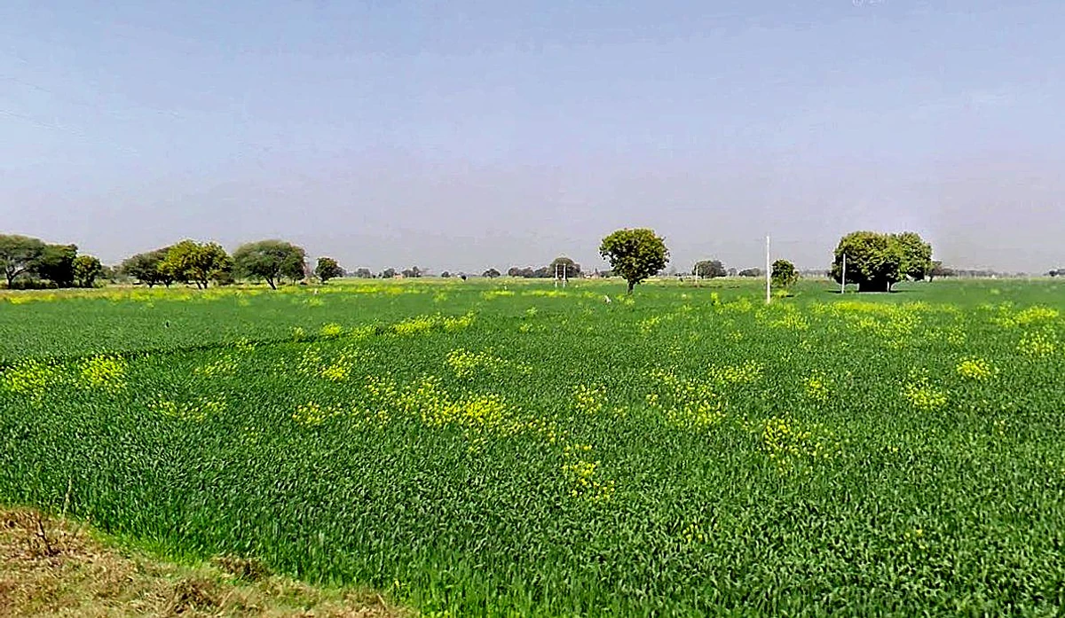 Gora, Madhya Pradesh 475685, India