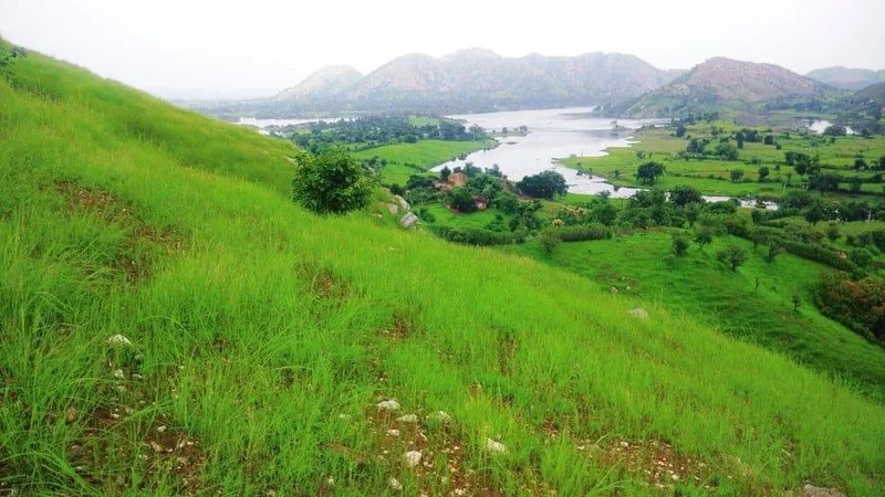 AGRICULTURAL in bhatwari, uttarkashi