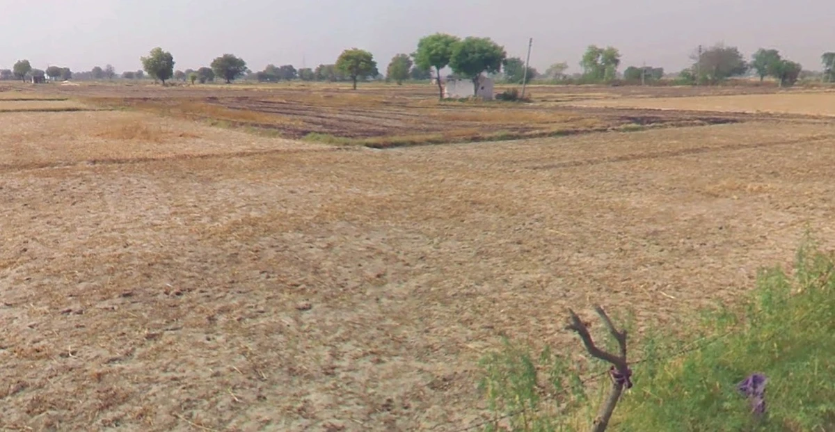 Rura, Uttar Pradesh 209303, India
