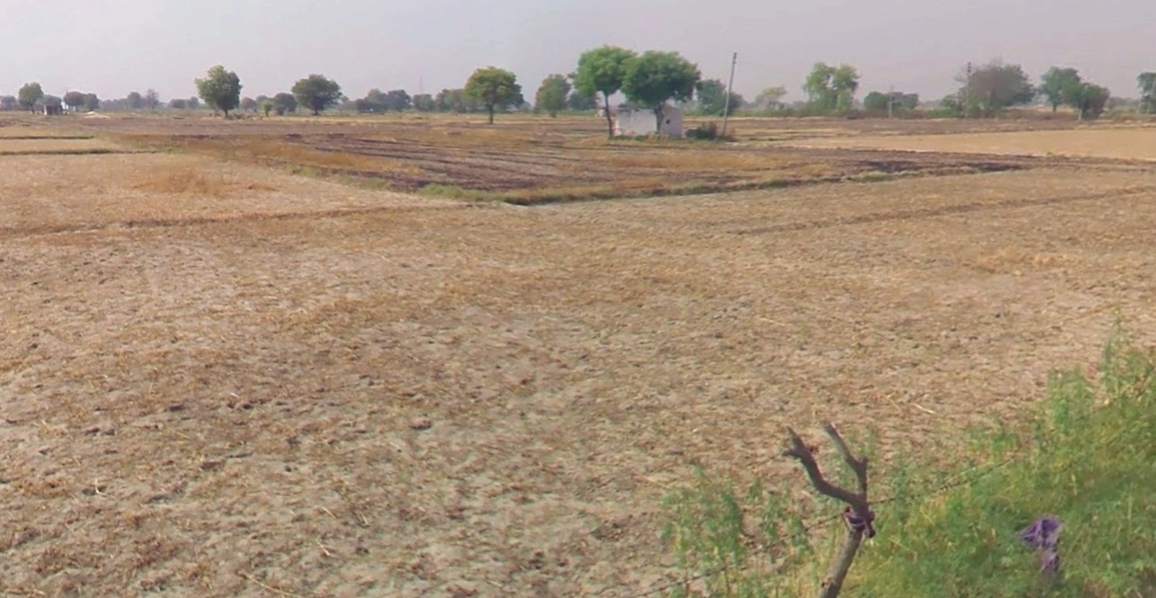 Rura, Uttar Pradesh 209303, India