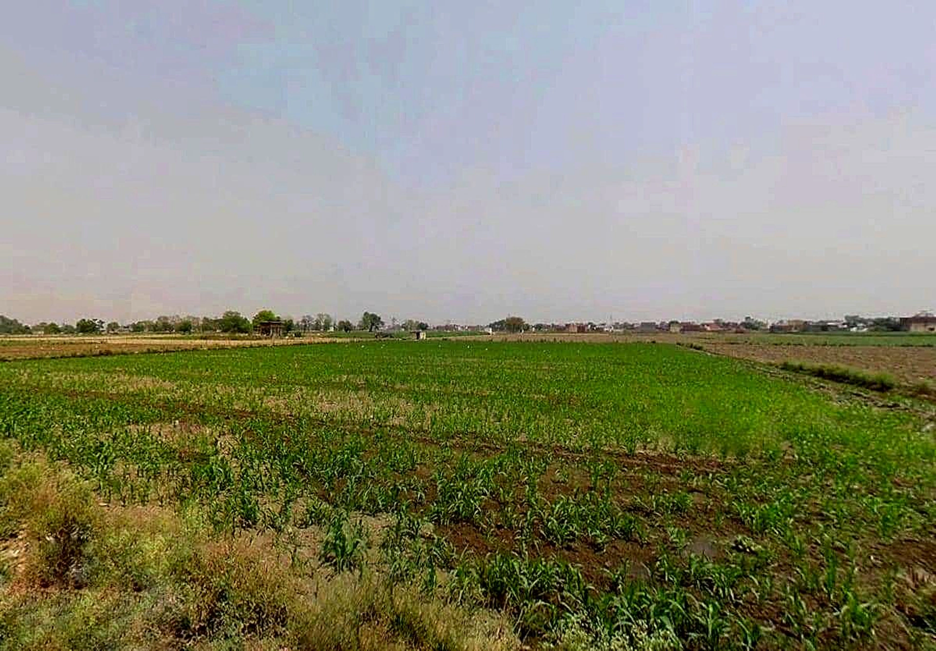 Sikandrabad, Uttar Pradesh 203205, India
