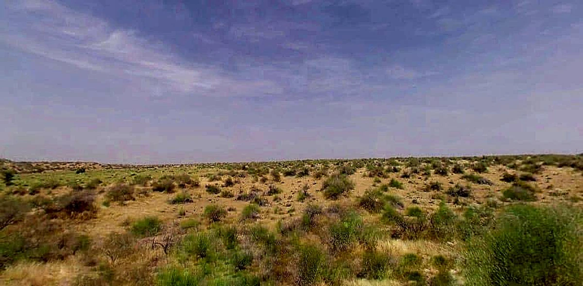 Agricultural Land in Khajuwala, charanwala, Bikaner
