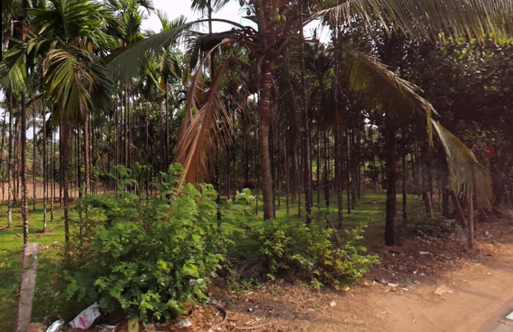 Agricultural Land in Belthangady ,mangalore, Dakshina-kannada