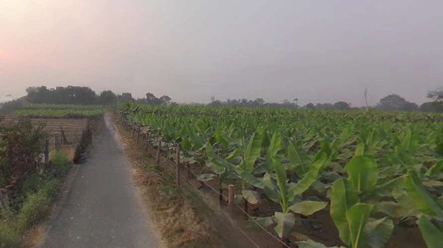 Arjun pur, Uttar Pradesh 226203, India