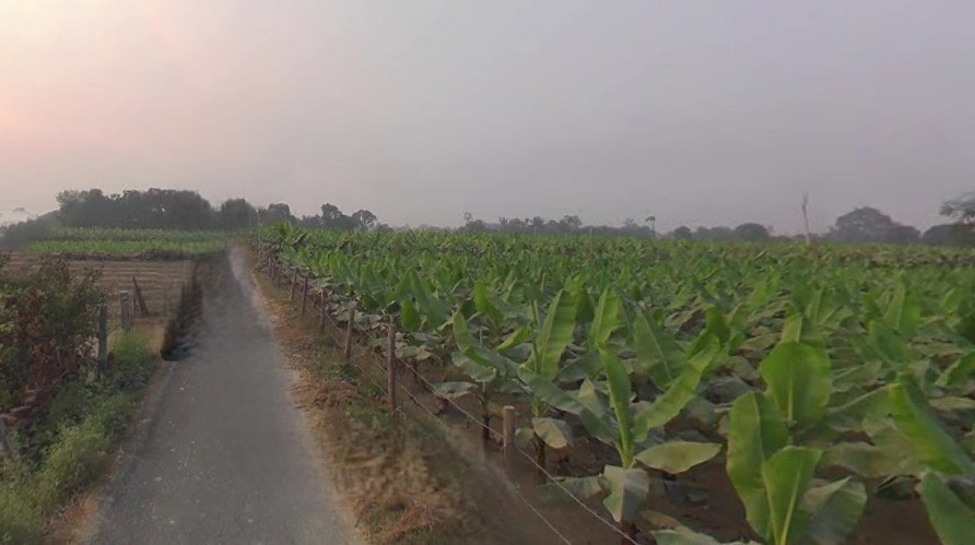 Arjun pur, Uttar Pradesh 226203, India