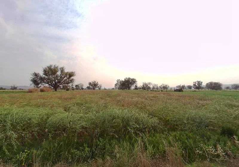Agricultural Land in Pali, Alwar