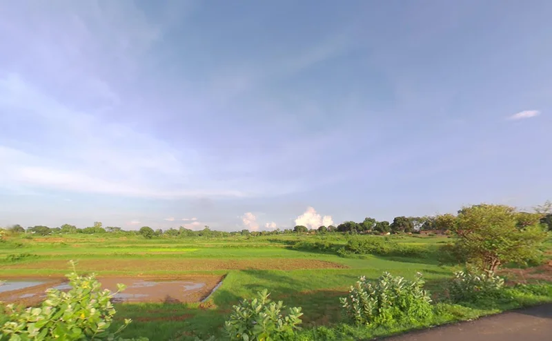 Agricultural Land in Durgapur,andal, Paschim-bardhaman