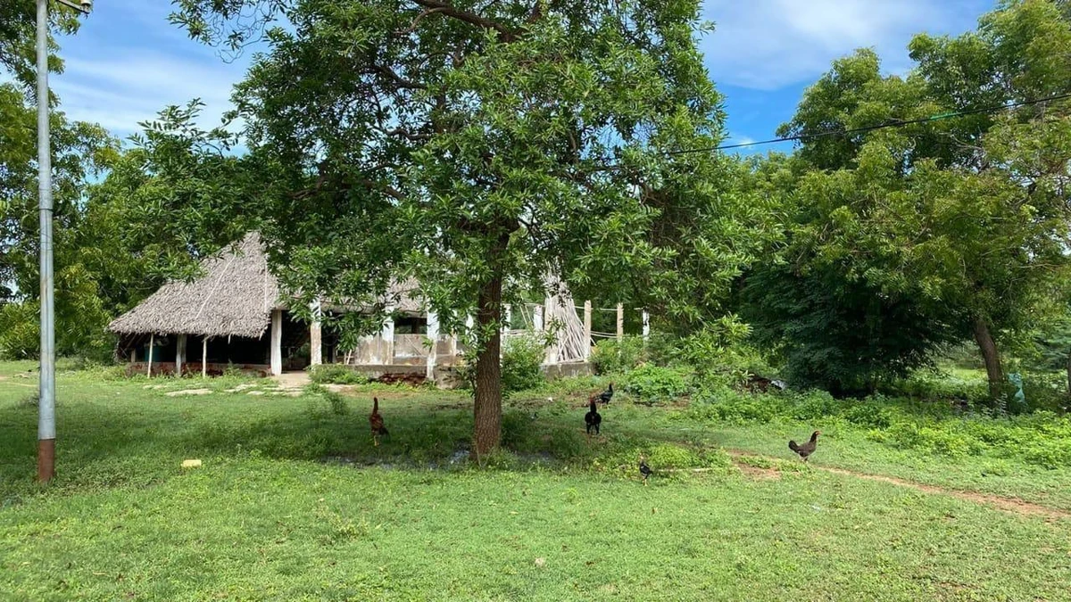 Agricultural Land in Sivaganga, Sivaganga