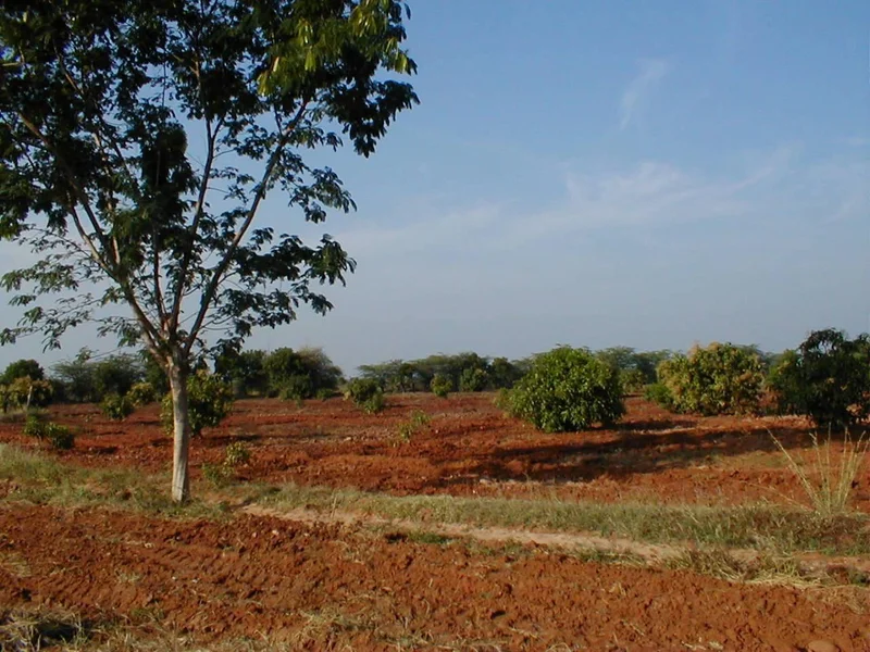 Sivaganga, Tamil Nadu 630561, India