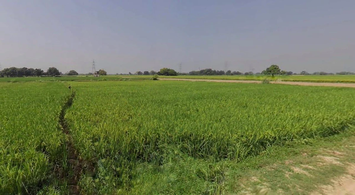 Jaisalmer, Rajasthan 345001, India