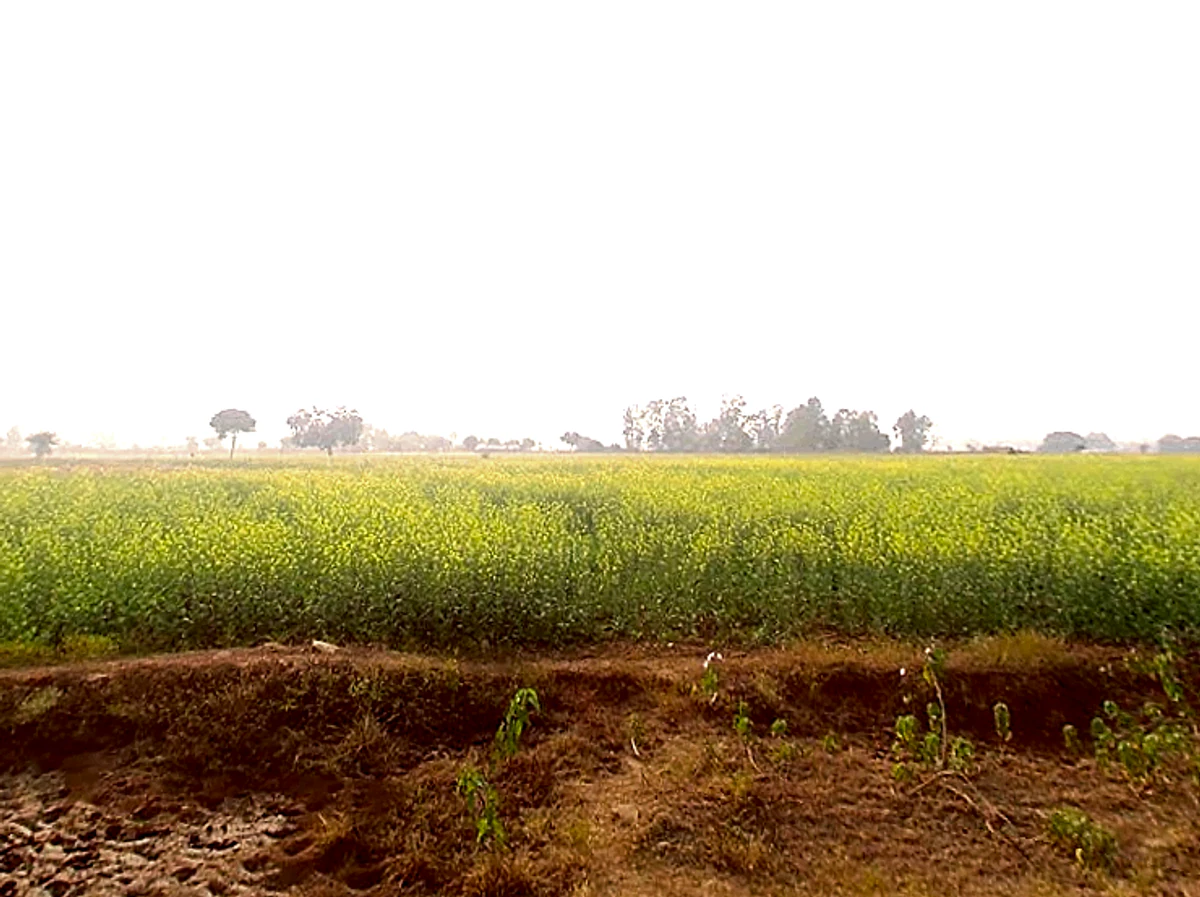 Matihani, Uttar Pradesh, India