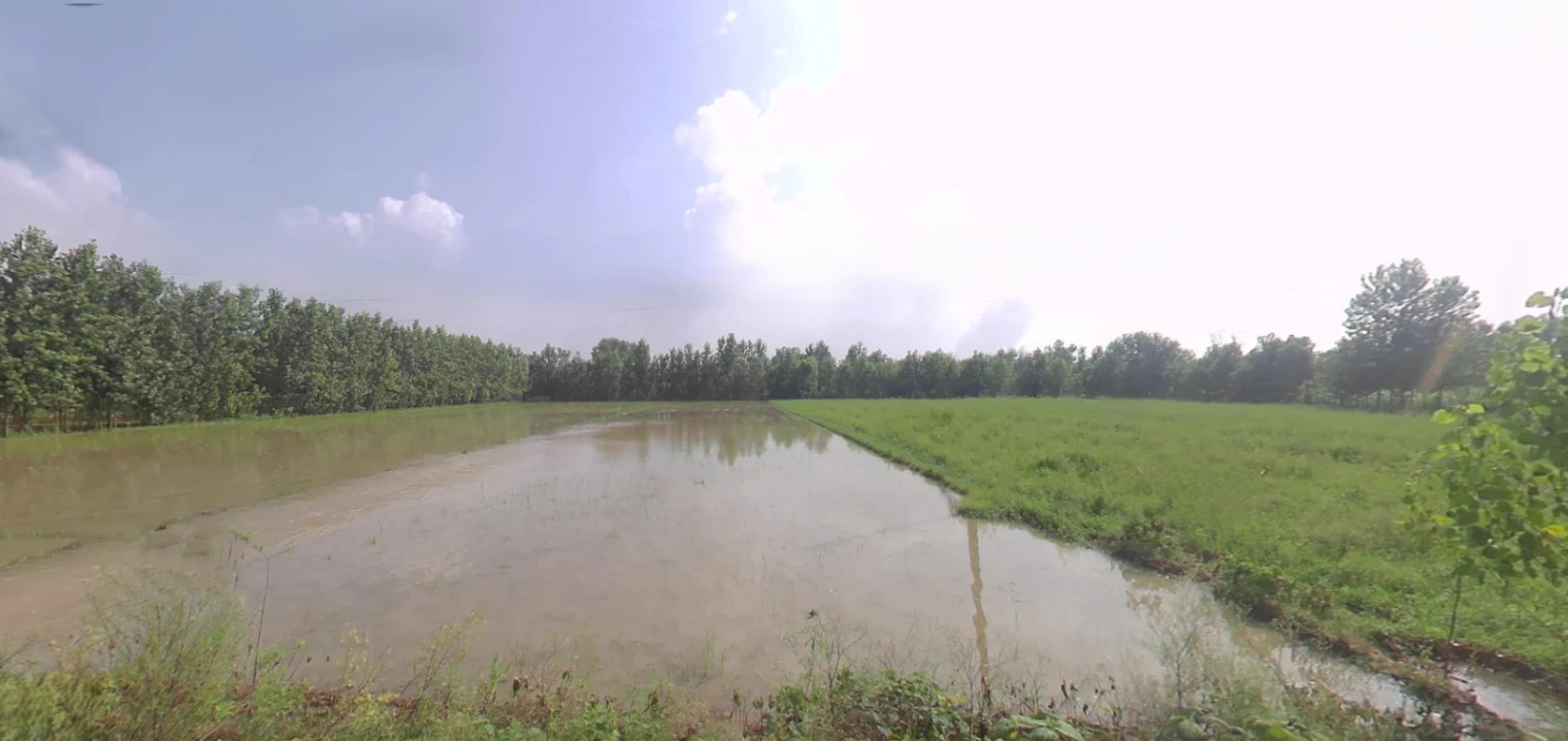 Biharigarh, Uttar Pradesh 247662, India preview 3