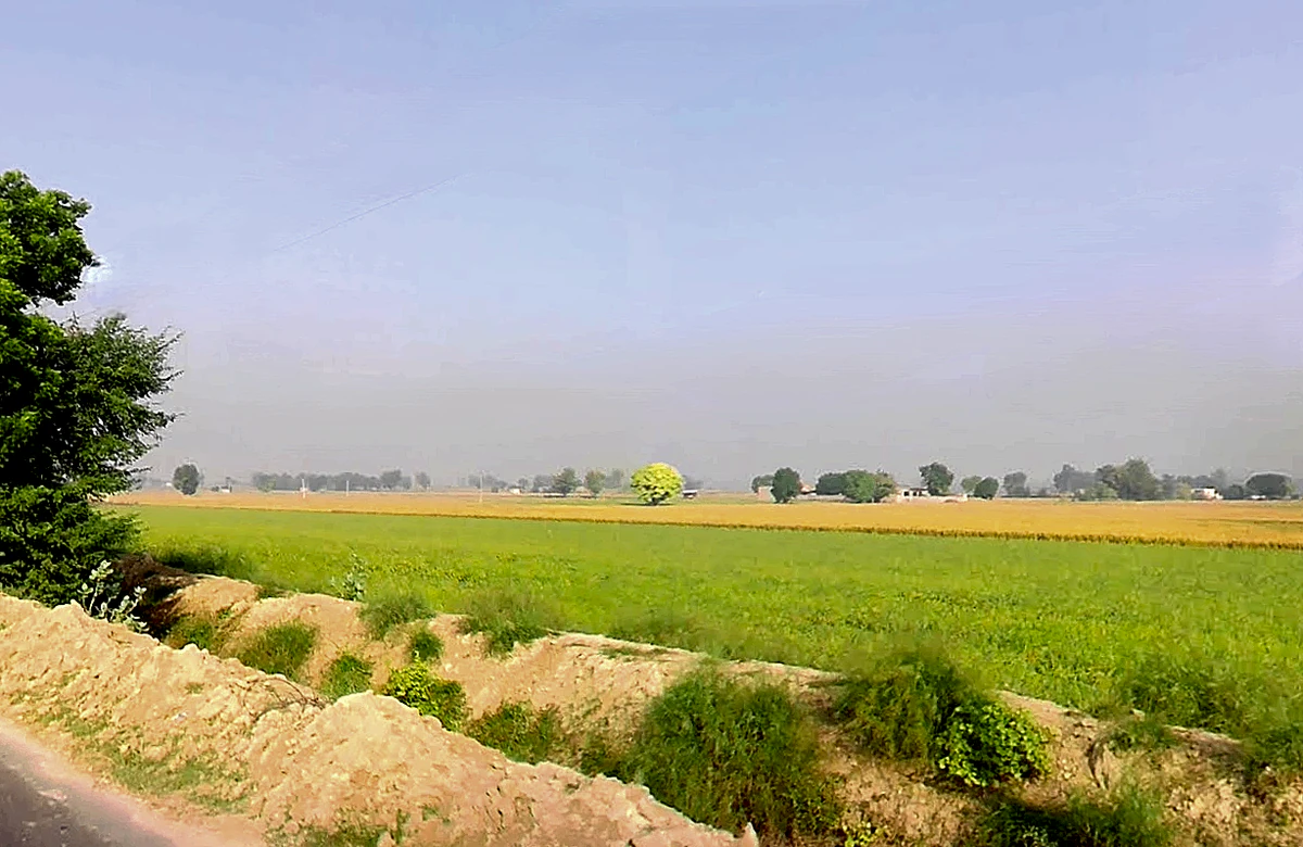 Shekhu Khera, Haryana, India