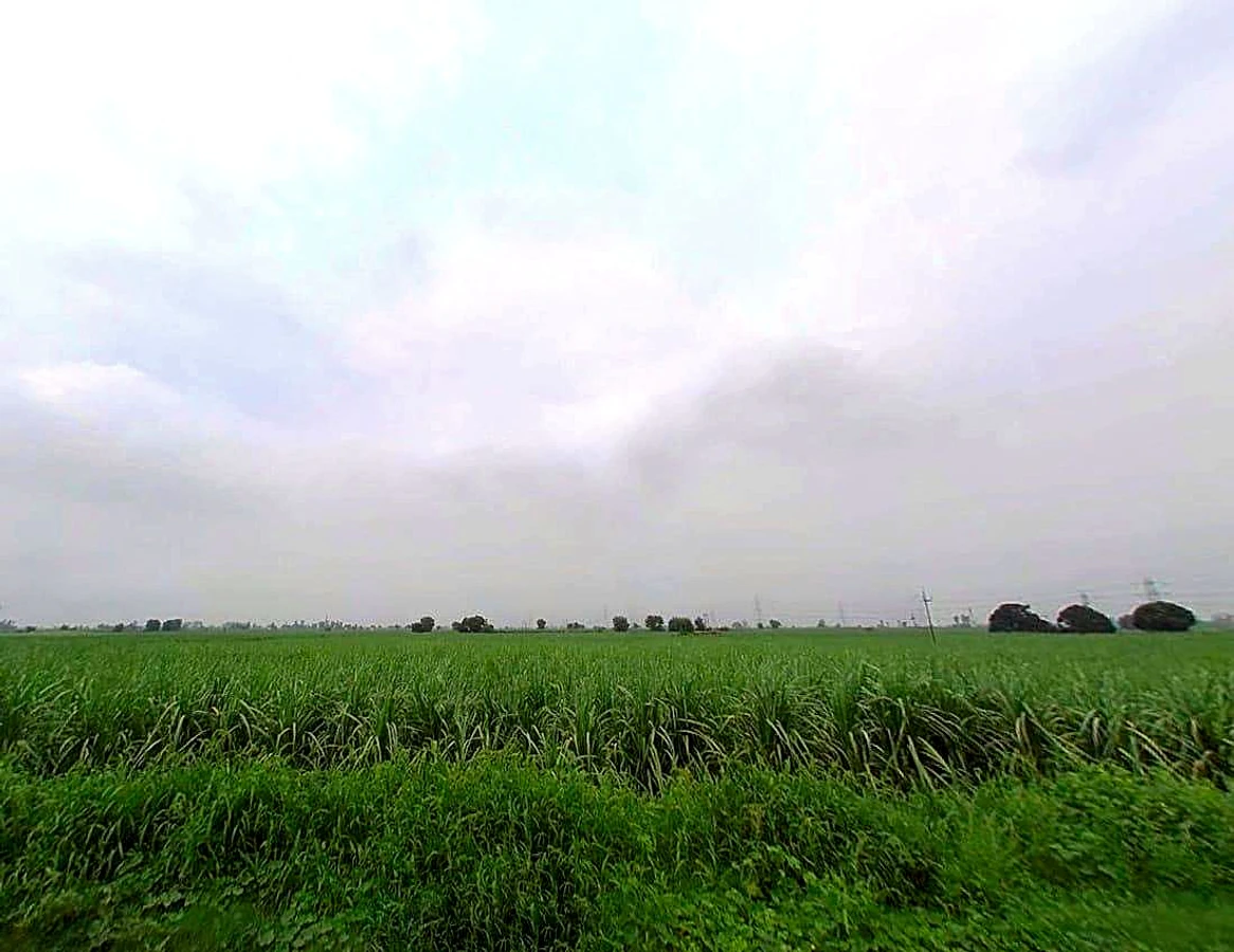 78CP+R7X, Durganpur, Uttar Pradesh 247771, India