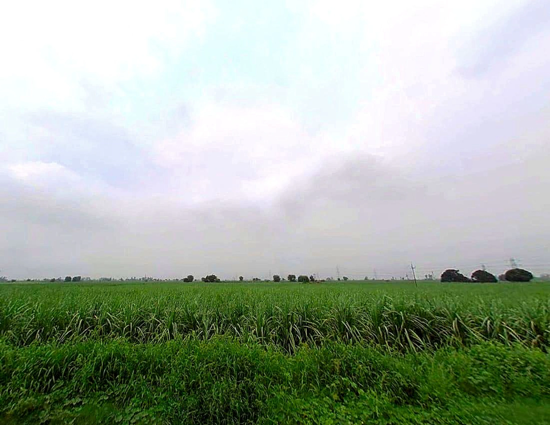 78CP+R7X, Durganpur, Uttar Pradesh 247771, India