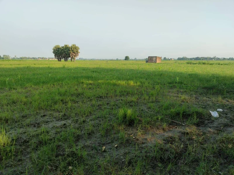 Pilibhit, Uttar Pradesh 262001, India preview 3