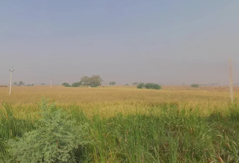 Kalan, Uttar Pradesh, India preview 3