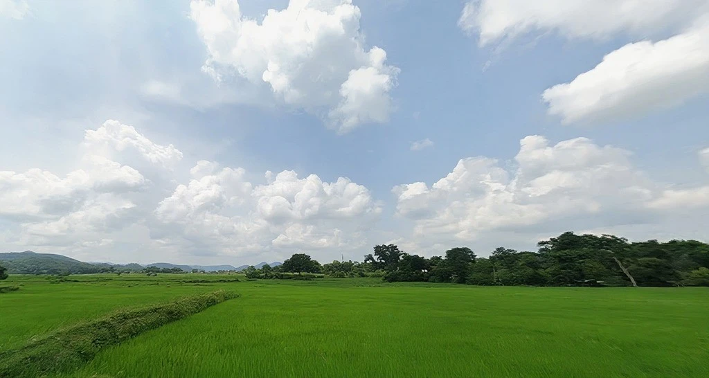 Agricultural Land in Chauka/chandil, Seraikela-kharsawan