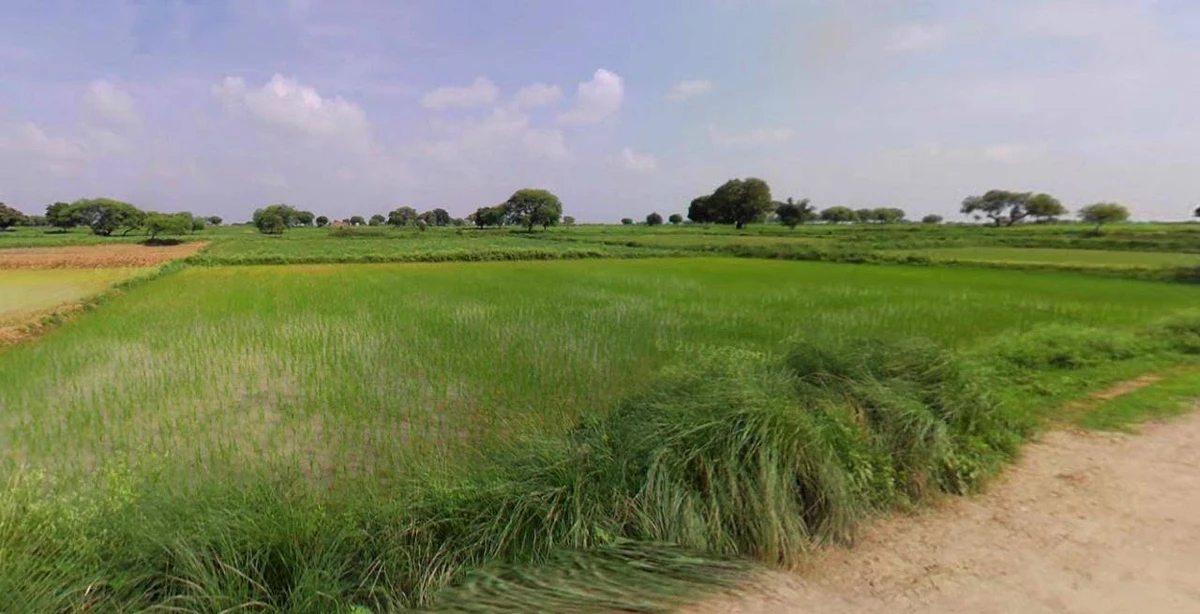 Barpeta, Assam, India