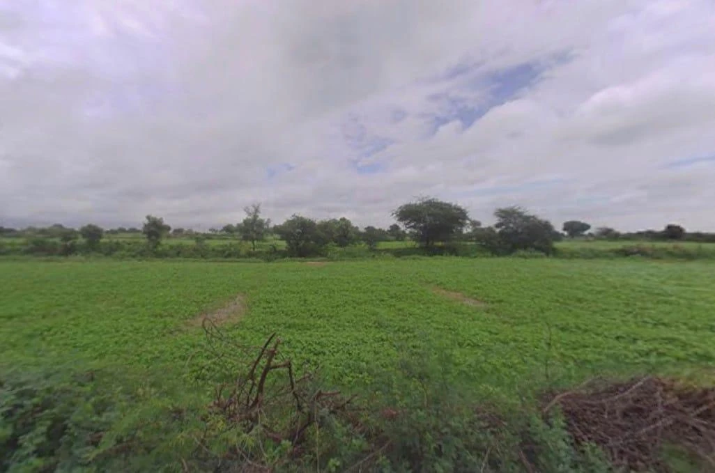AGRICULTURAL in Phagi/Barh Bishanpura Kagya, jaipur