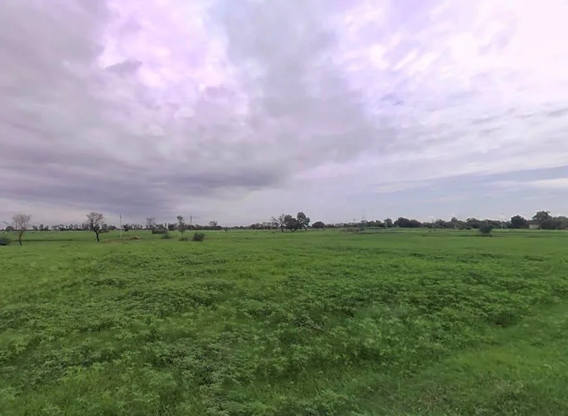 596P+VVJ, Mahua, Rajasthan 321303, India preview 3