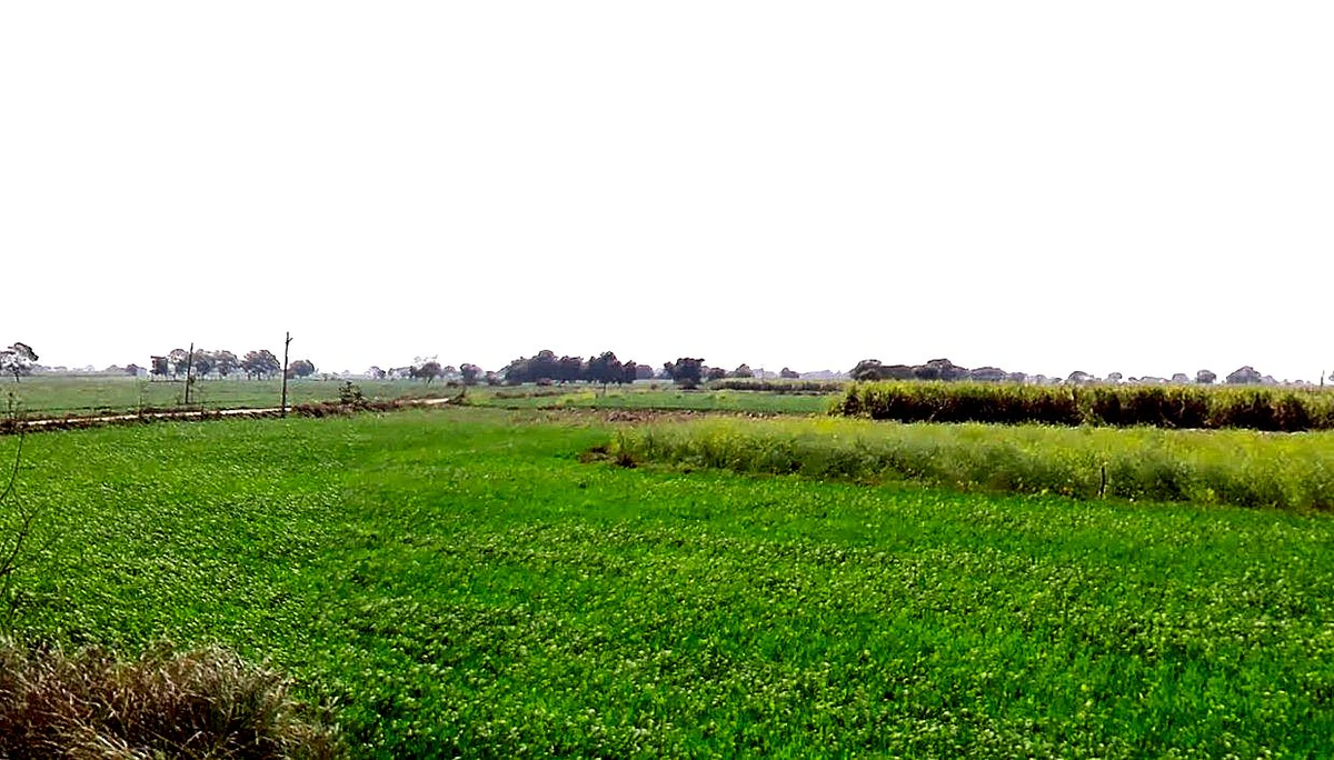 Badera, Madhya Pradesh, India