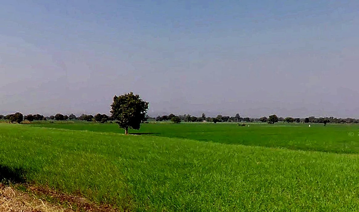 3PRM+428, Runija, Madhya Pradesh 456776, India