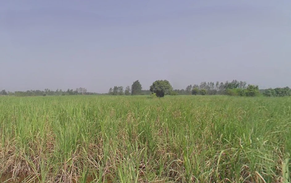 Kanth, Uttar Pradesh 244501, India