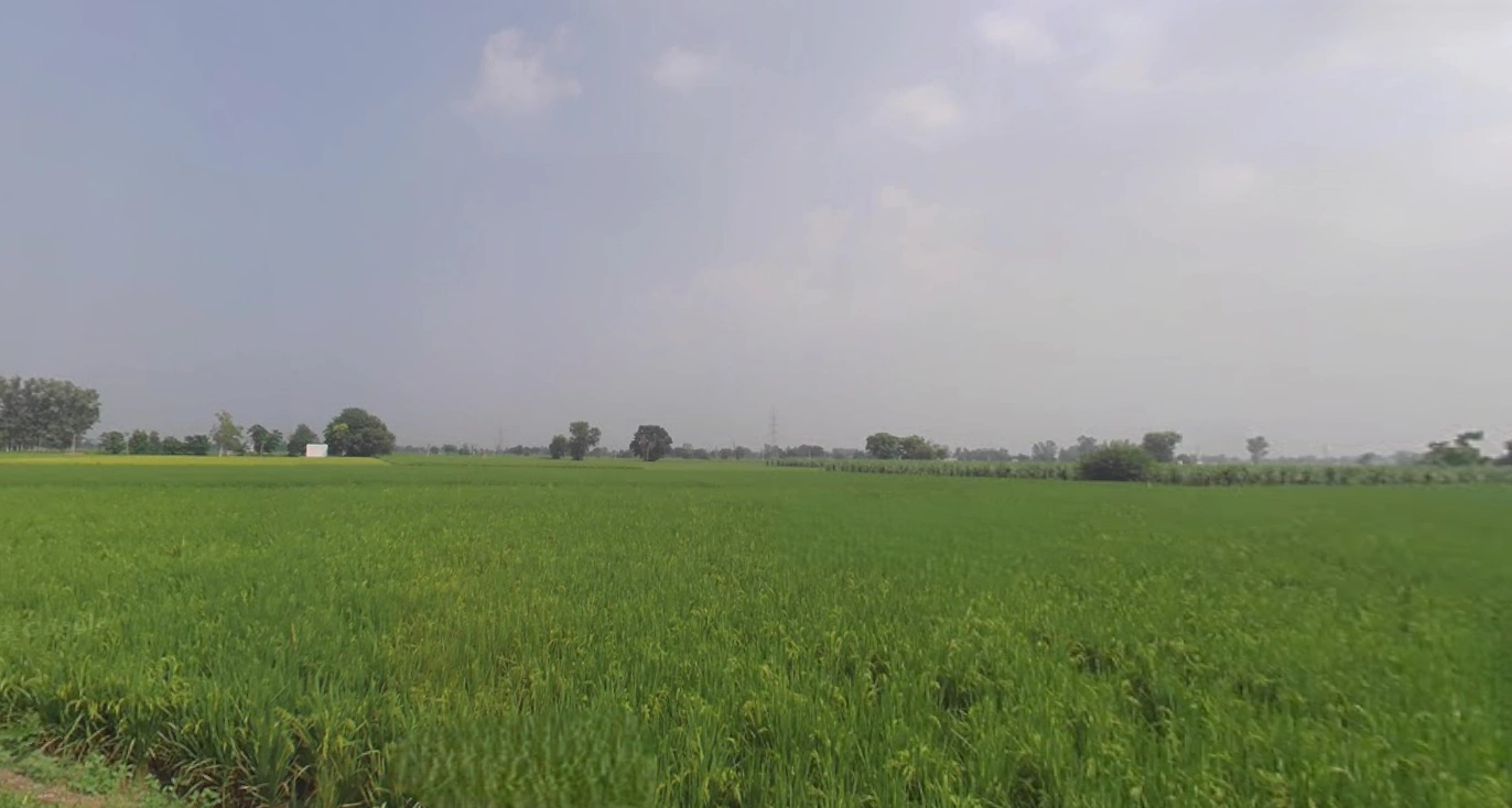 Sapror, Punjab, India